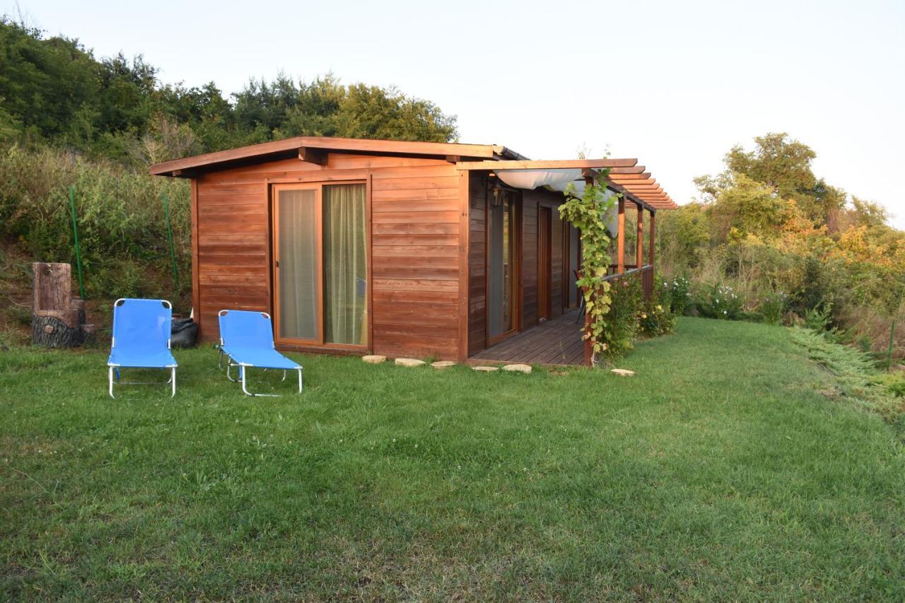 Viridi Ferienhaus Sosopol